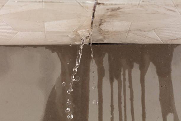 Professional Structural Drying technician working in Linwood, MI